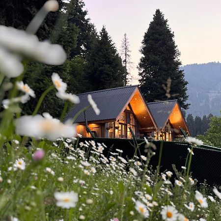 Solomons Gray Villa Tangmarg Dış mekan fotoğraf