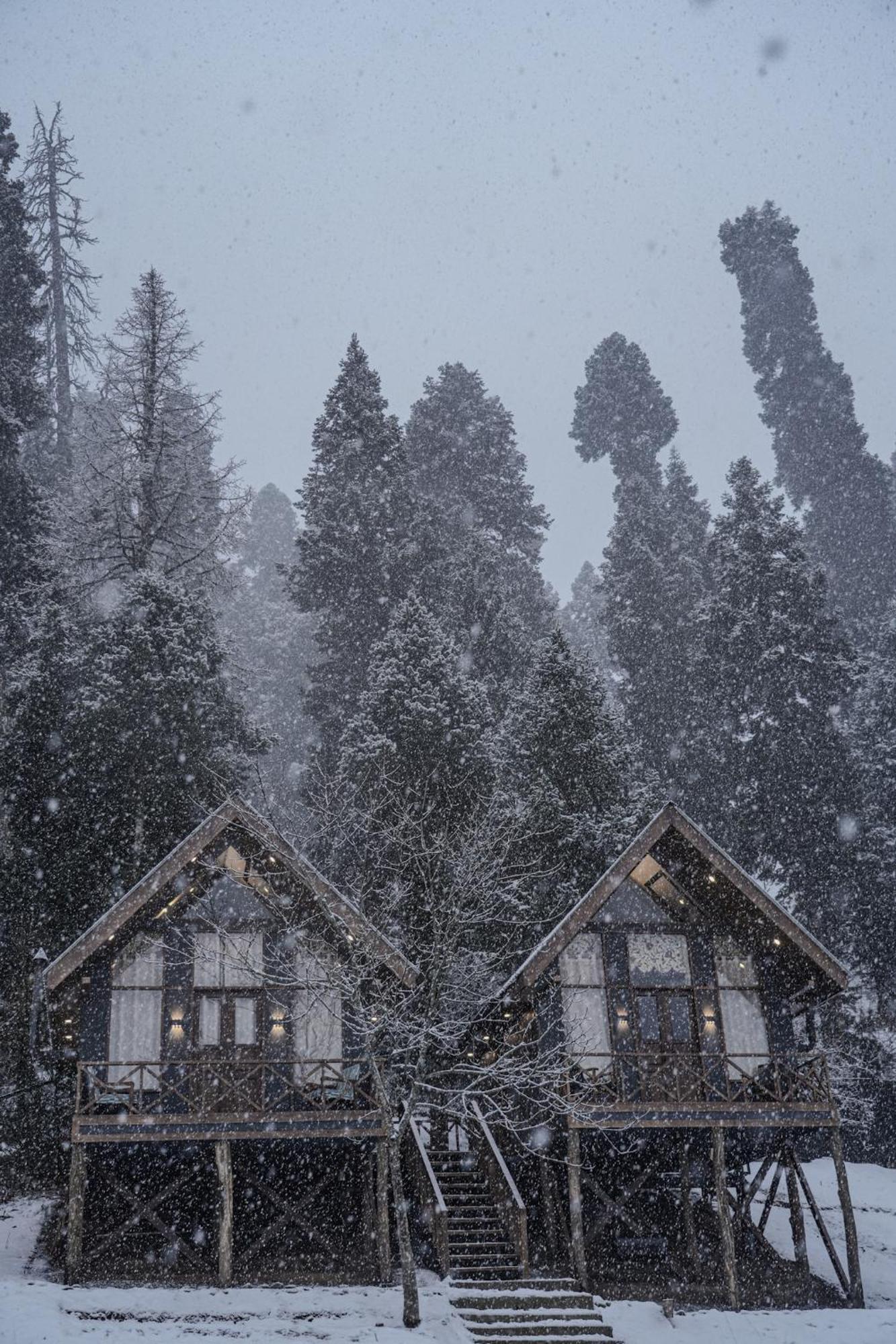 Solomons Gray Villa Tangmarg Dış mekan fotoğraf