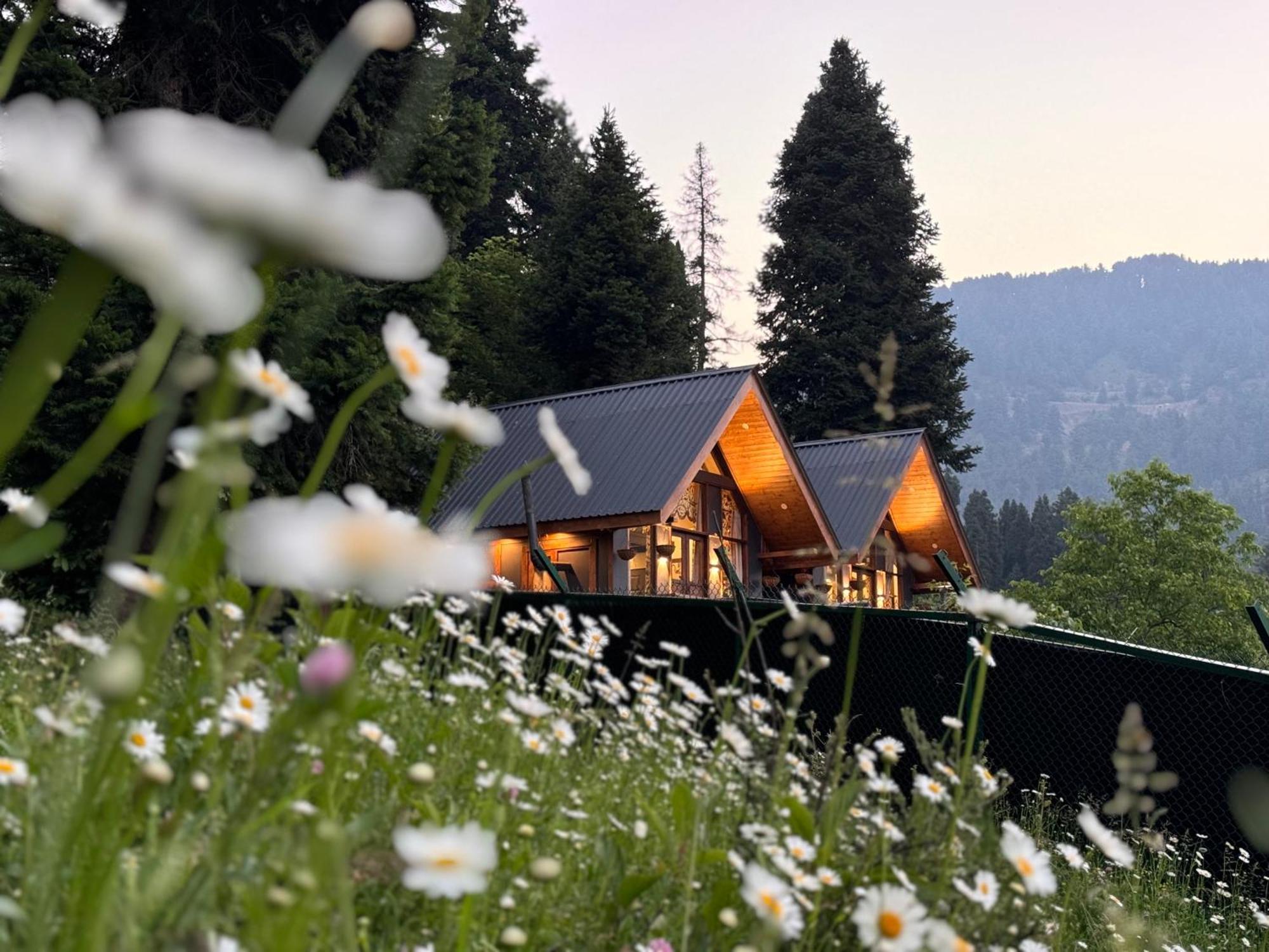 Solomons Gray Villa Tangmarg Dış mekan fotoğraf