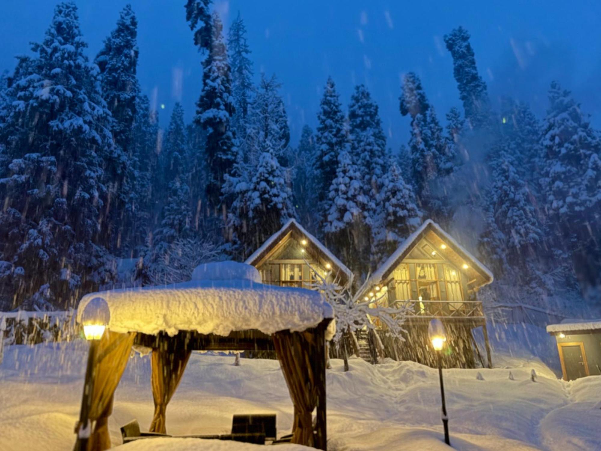 Solomons Gray Villa Tangmarg Dış mekan fotoğraf