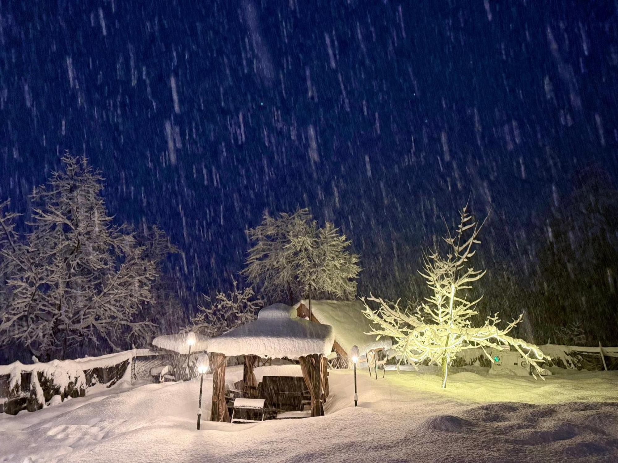 Solomons Gray Villa Tangmarg Dış mekan fotoğraf